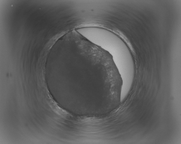 X0000082180385200702092315