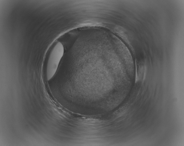 X0000082180387200702092315