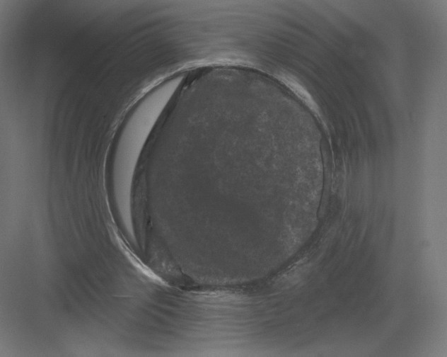 X0000082180389200702092315