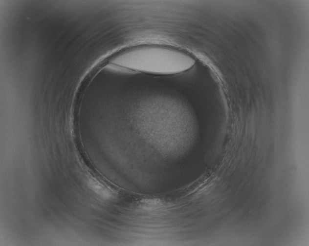 X0000082180391200702092315