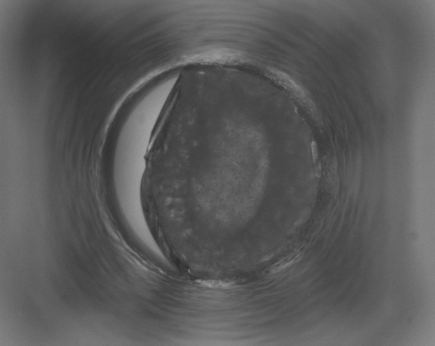 X0000082180392200702092315