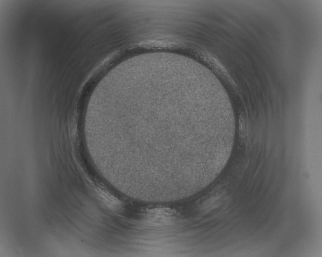X0000082180396200702092315