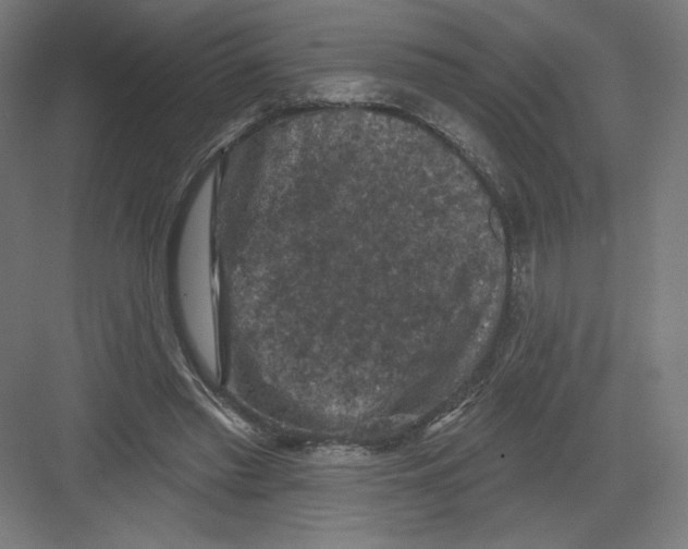 X0000082180397200702092315
