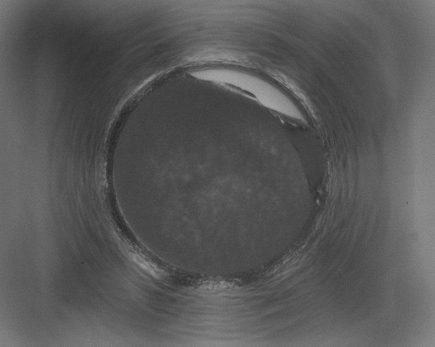 X0000082180399200702092315