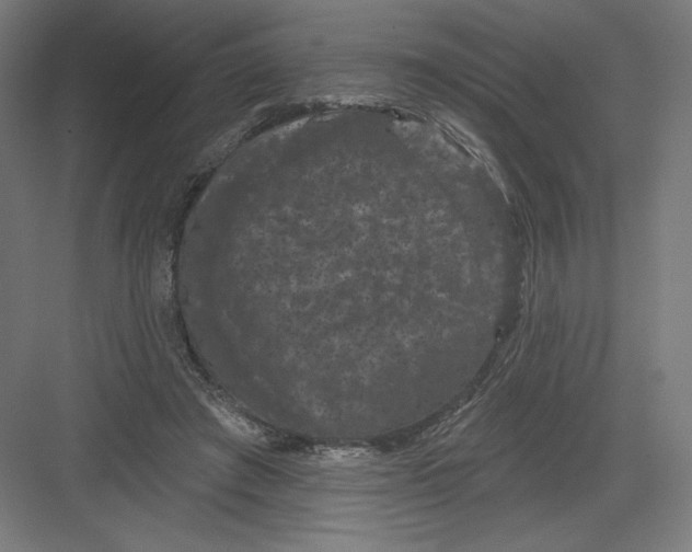 X0000082180401200702092315