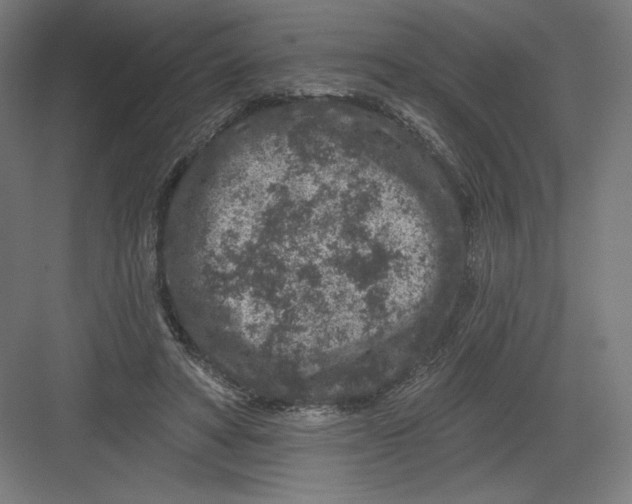 X0000082180402200702092315