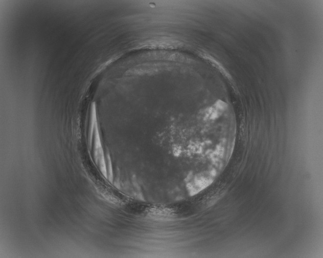 X0000082180403200702092315