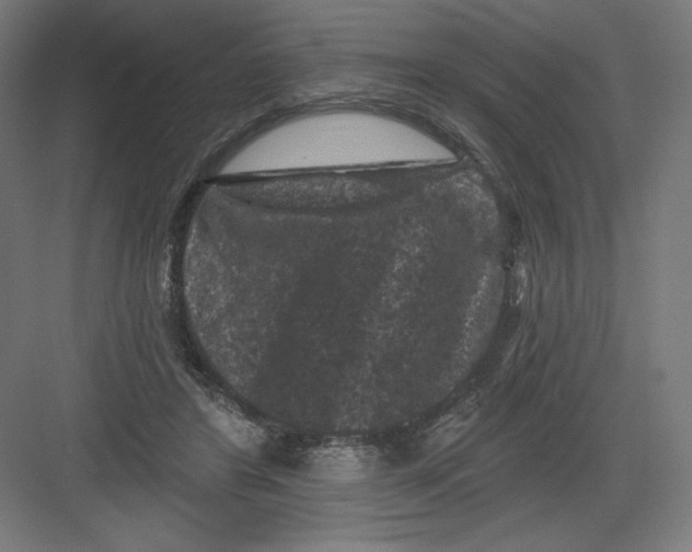 X0000082180404200702092315