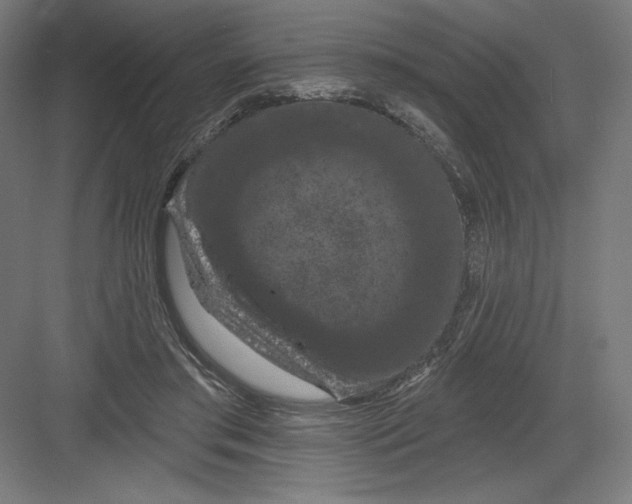X0000082180405200702092315