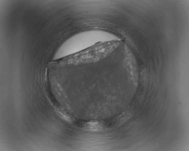 X0000082180406200702092315