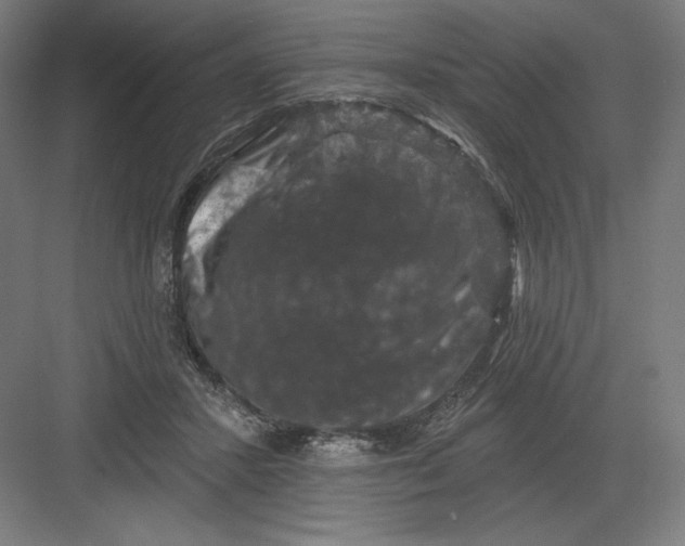 X0000082180407200702092315