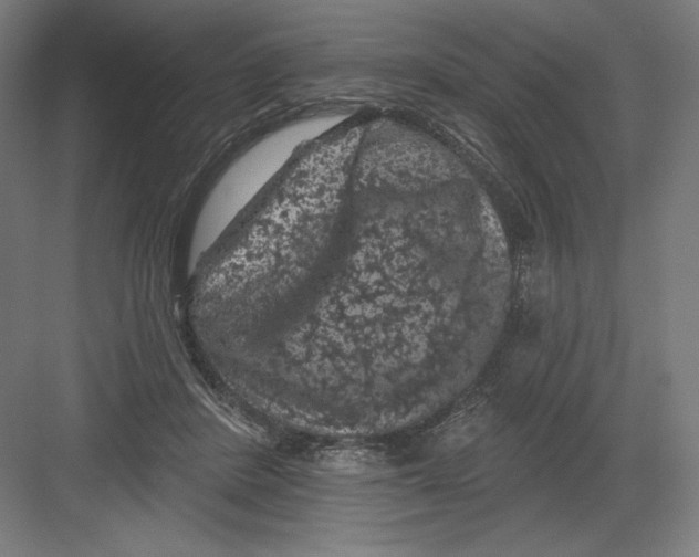 X0000082180408200702092314