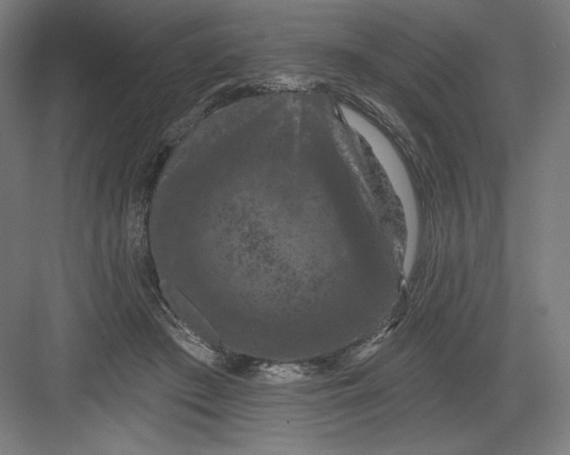 X0000082180409200702092314