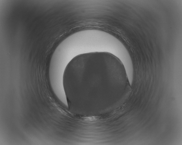 X0000082180411200702092314
