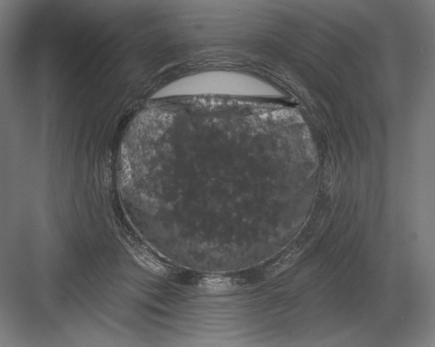 X0000082180413200702092314