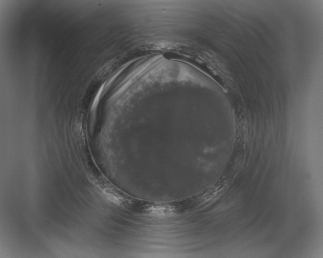 X0000082180415200702092314