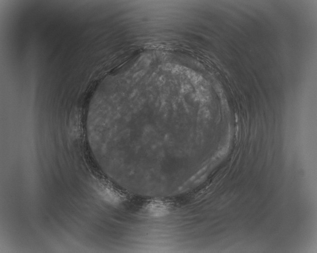 X0000082180416200702092314