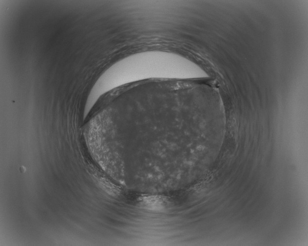 X0000082180417200702092314