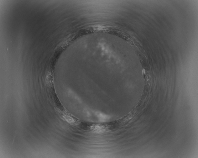 X0000082180419200702092314