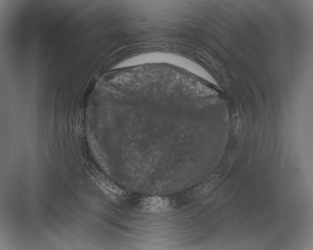 X0000082180421200702092314