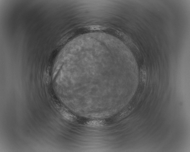 X0000082180422200702092314
