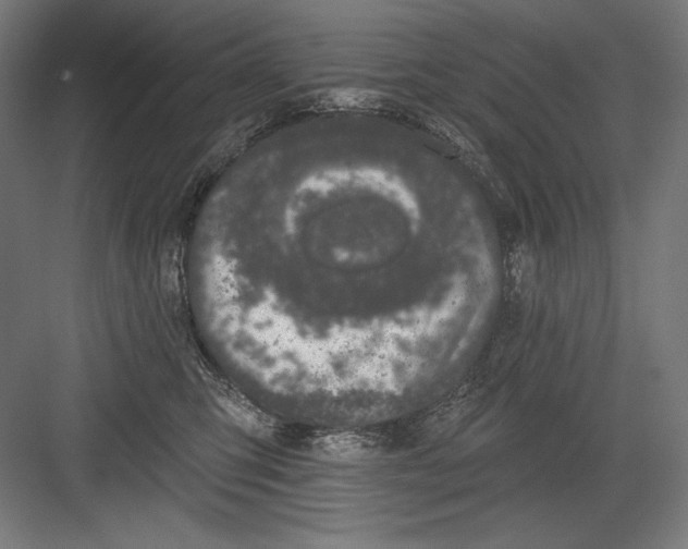 X0000082180423200702092314