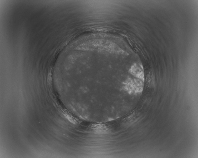 X0000082180424200702092314