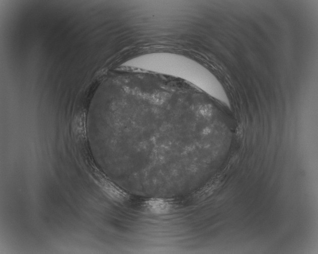 X0000082180425200702092314
