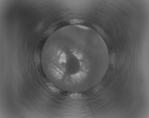 X0000082180426200702092314