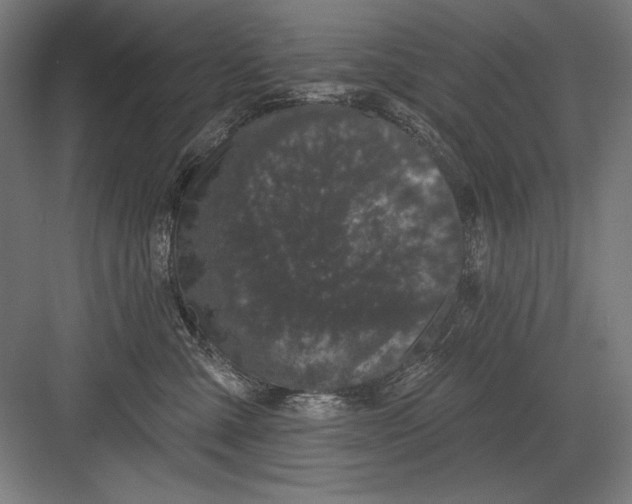 X0000082180427200702092314