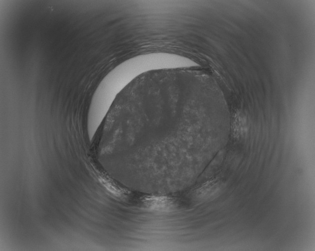 X0000082180428200702092314