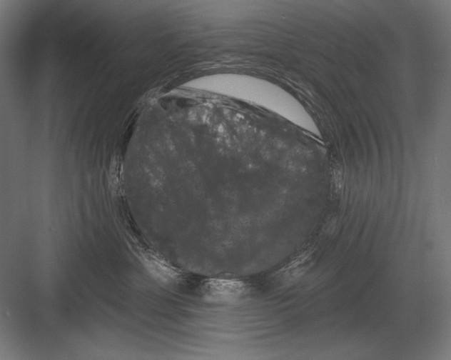 X0000082180429200702092314