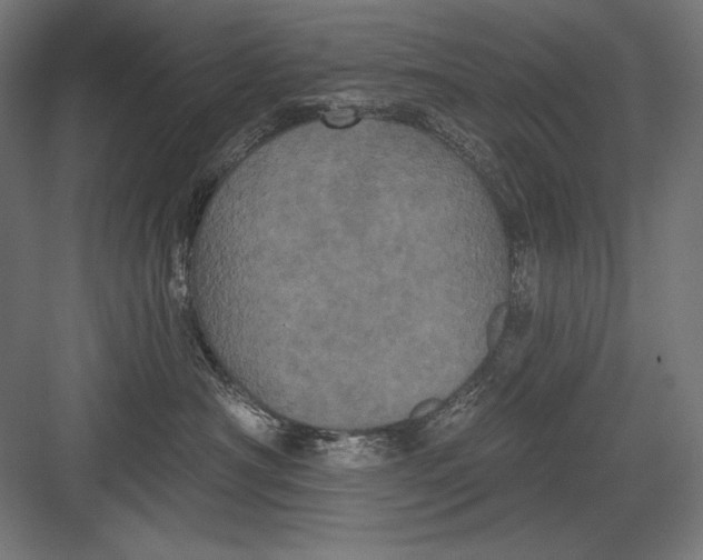 X0000082180430200702092314