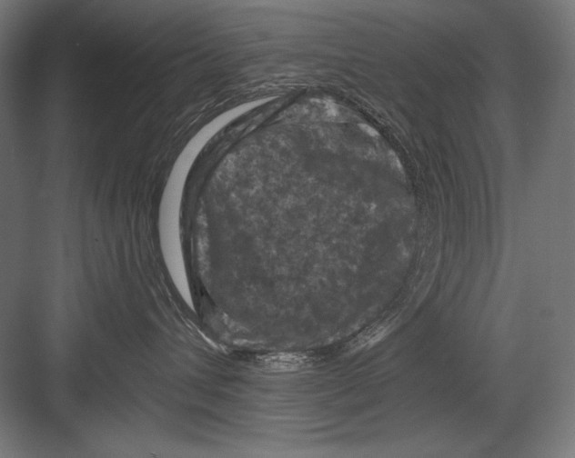 X0000082180432200702092314