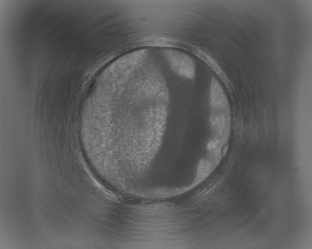 X0000082180433200702092313
