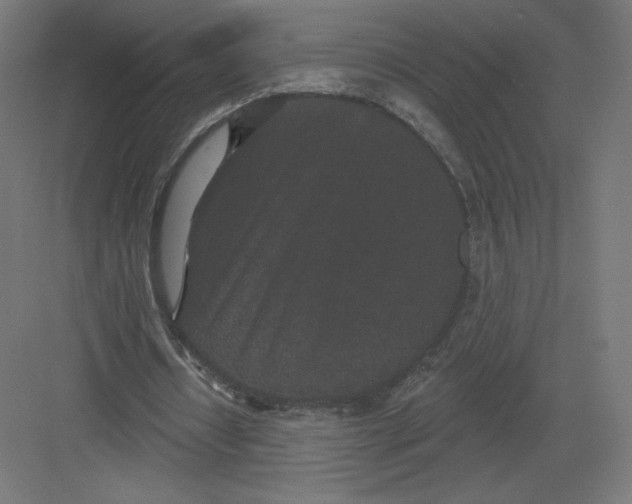X0000082180434200702092313