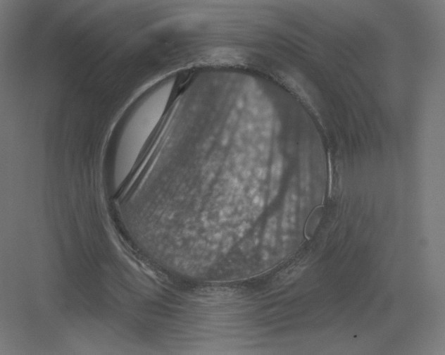 X0000082180435200702092313