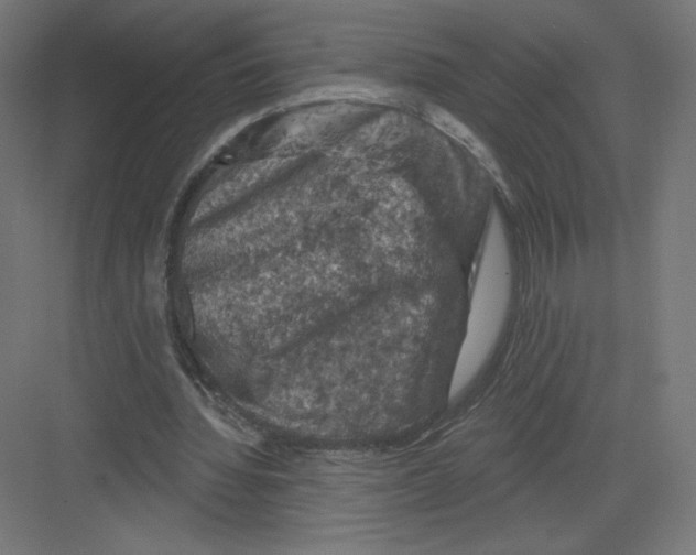 X0000082180436200702092313