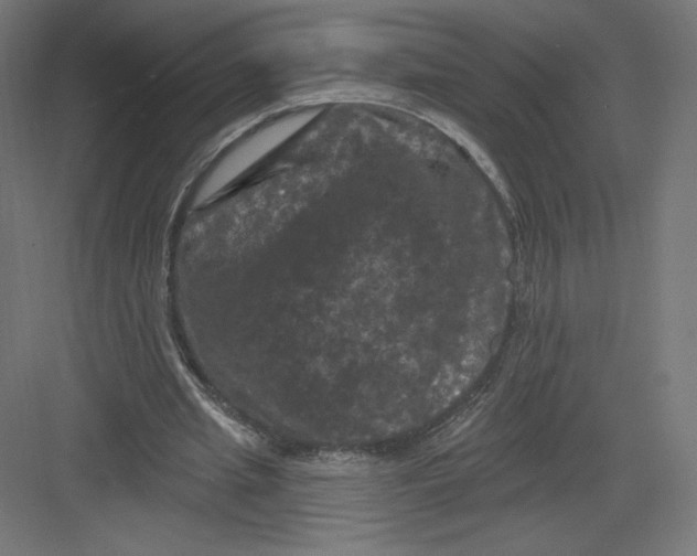 X0000082180437200702092313