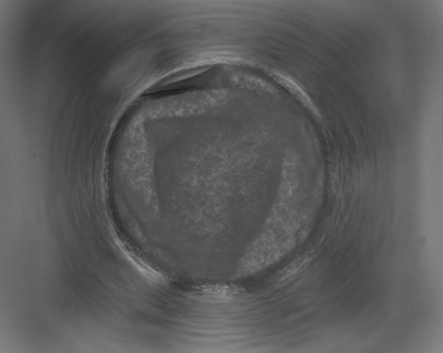 X0000082180439200702092313
