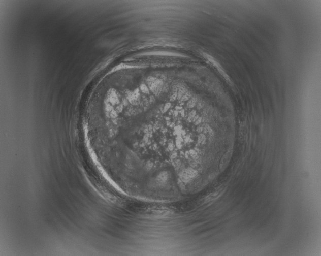X0000082180443200702092313
