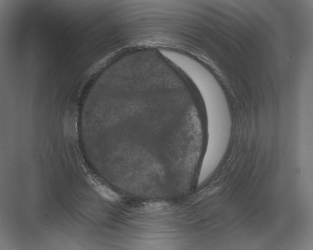 X0000082180446200702092313
