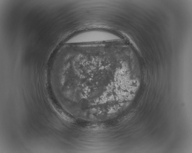 X0000082180447200702092314