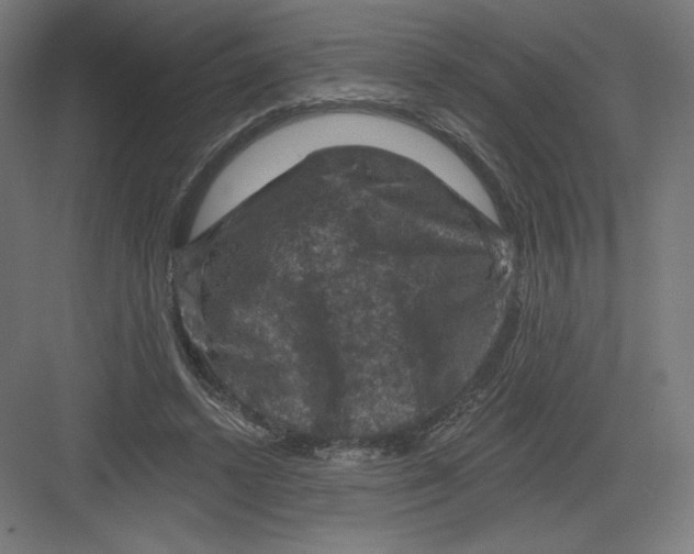 X0000082180448200702092314