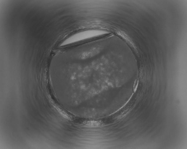 X0000082180449200702092314