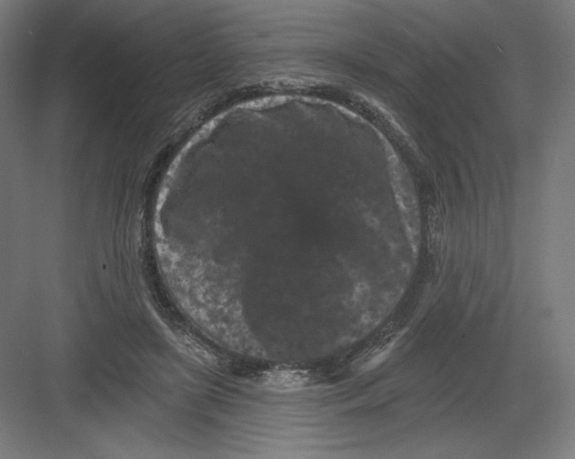 X0000082180451200702092314