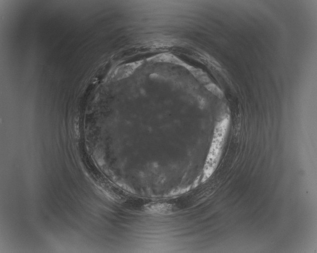 X0000082180452200702092314