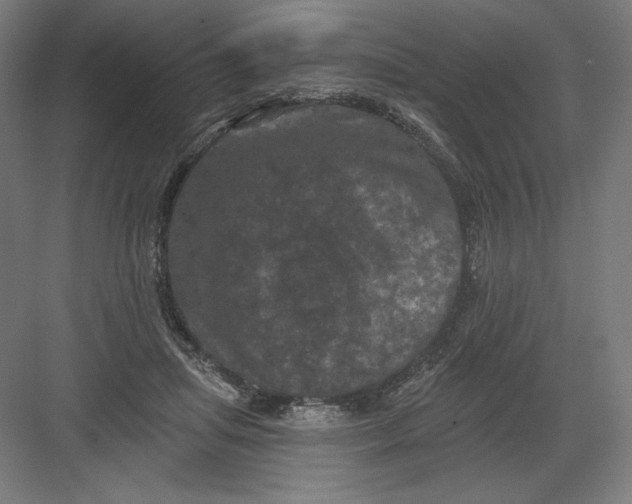 X0000082180455200702092314