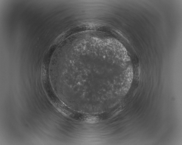 X0000082180456200702092314