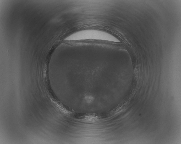 X0000082180458200702092314